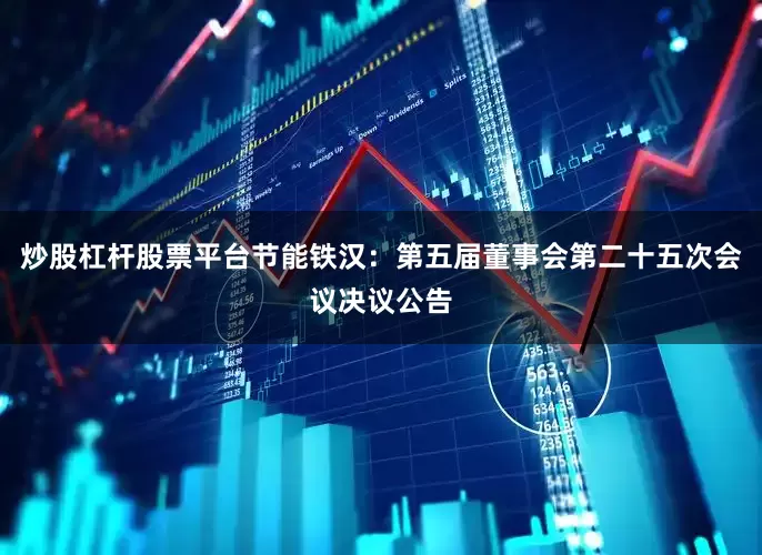 炒股杠杆股票平台节能铁汉：第五届董事会第二十五次会议决议公告