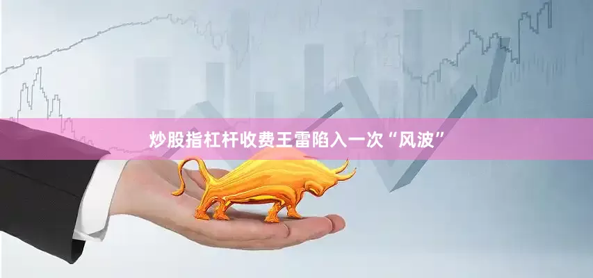 炒股指杠杆收费王雷陷入一次“风波”