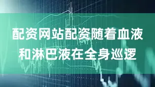 配资网站配资随着血液和淋巴液在全身巡逻